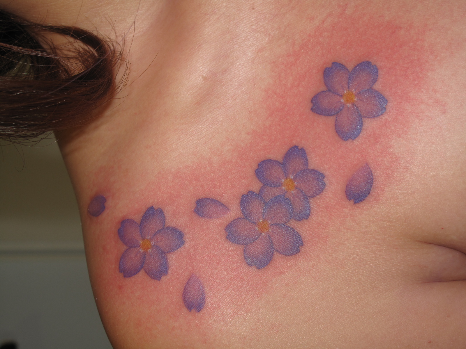 桜|胸　桜　花