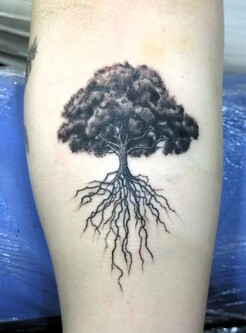 木|腕　木　tree